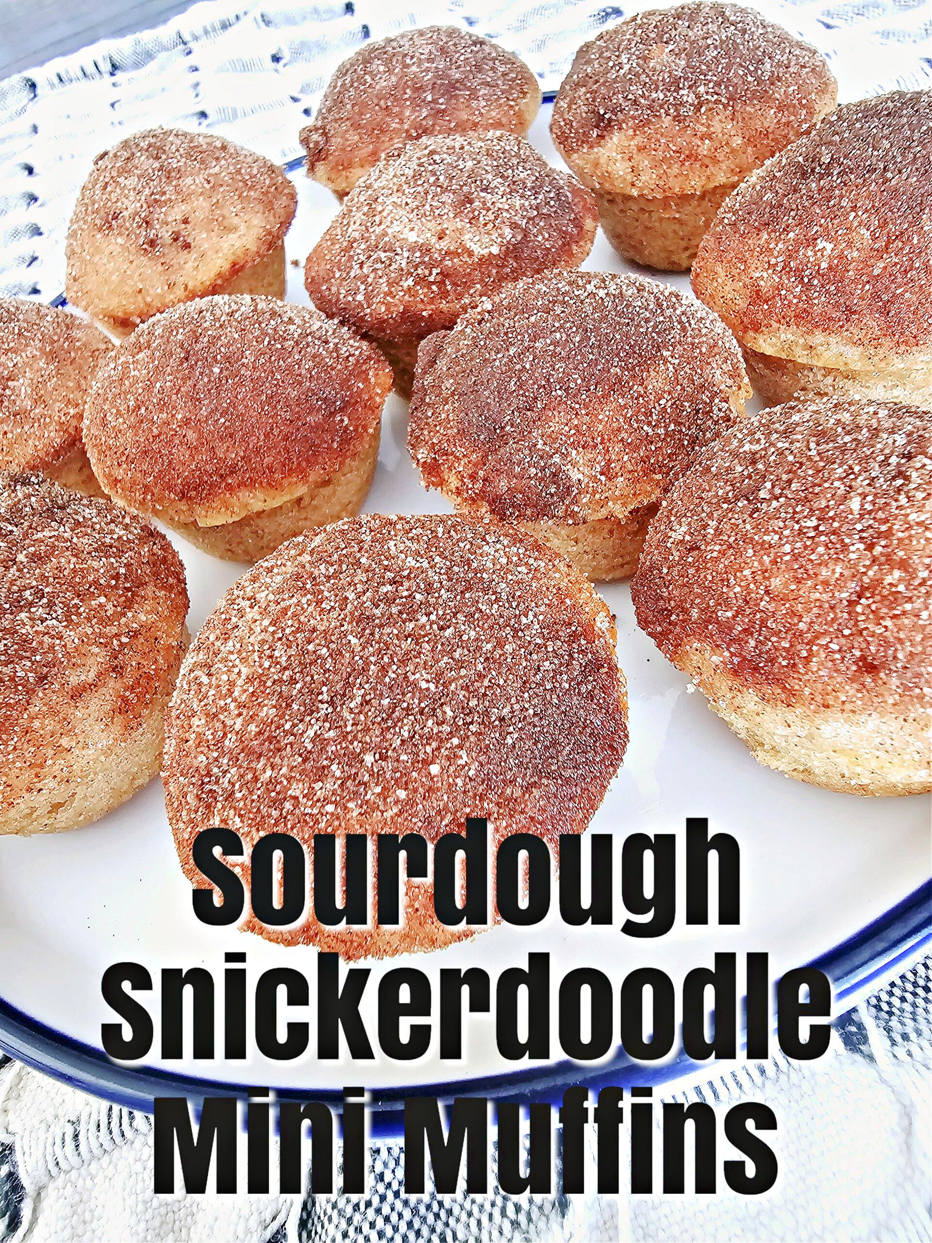 Sourdough Snickerdoodle Mini Muffins #muffins #snickerdoodle #breakfast #dessert #snackidea #afterschoolsnacks